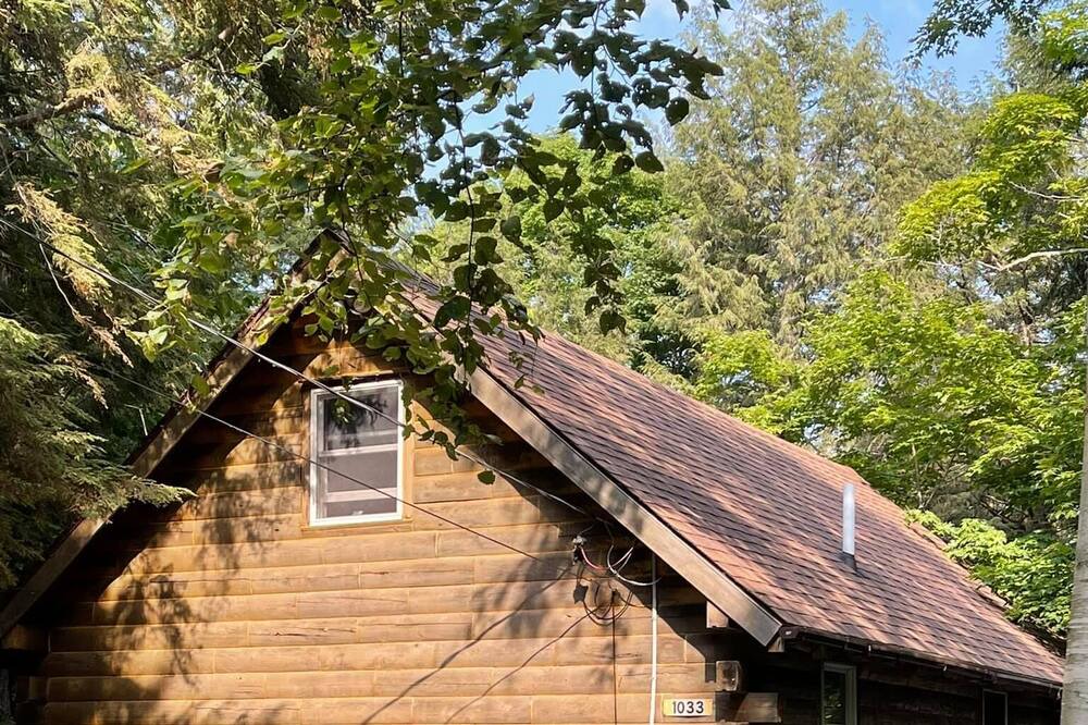 Photo of Outdoor in Beaver Cove