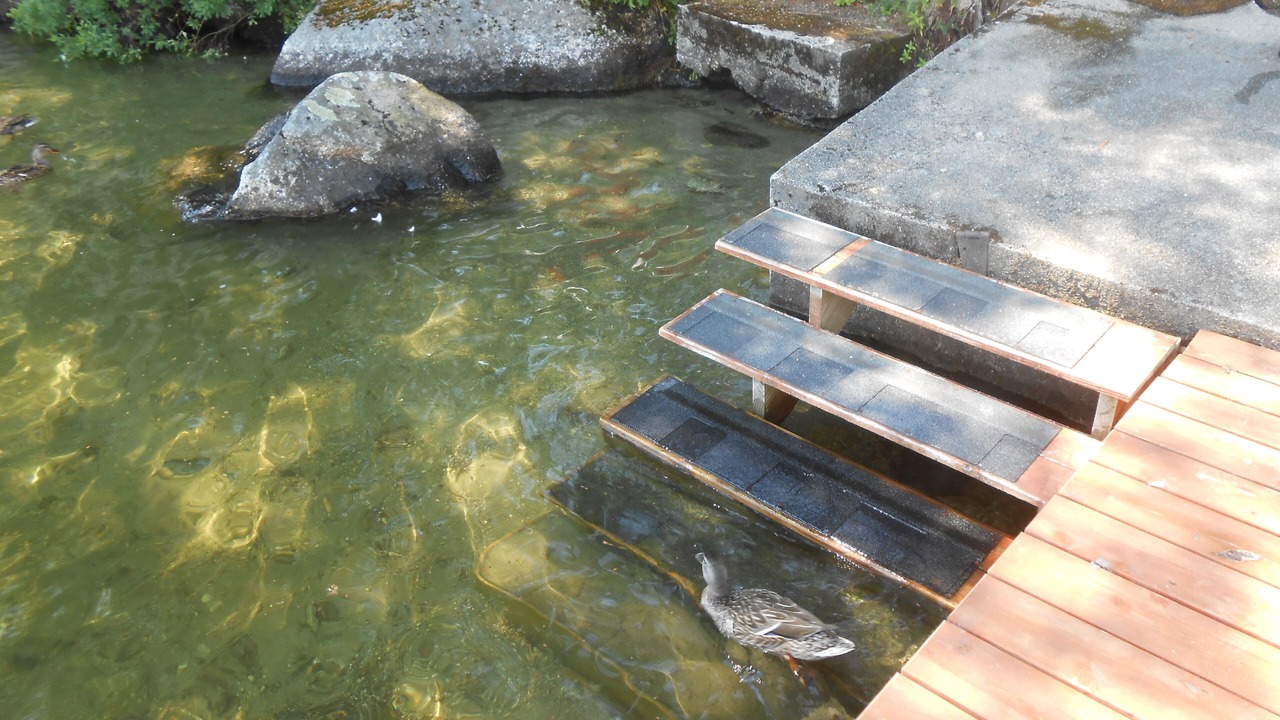 Photo of Outdoor in Otis
