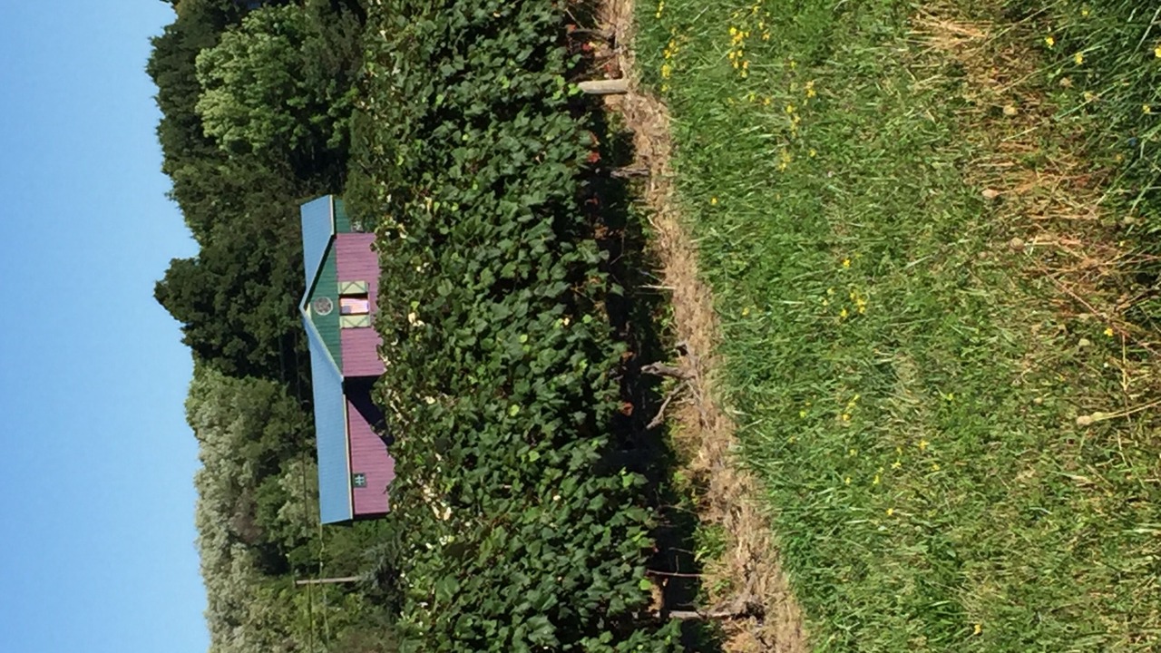 Photo of Others in Westfield