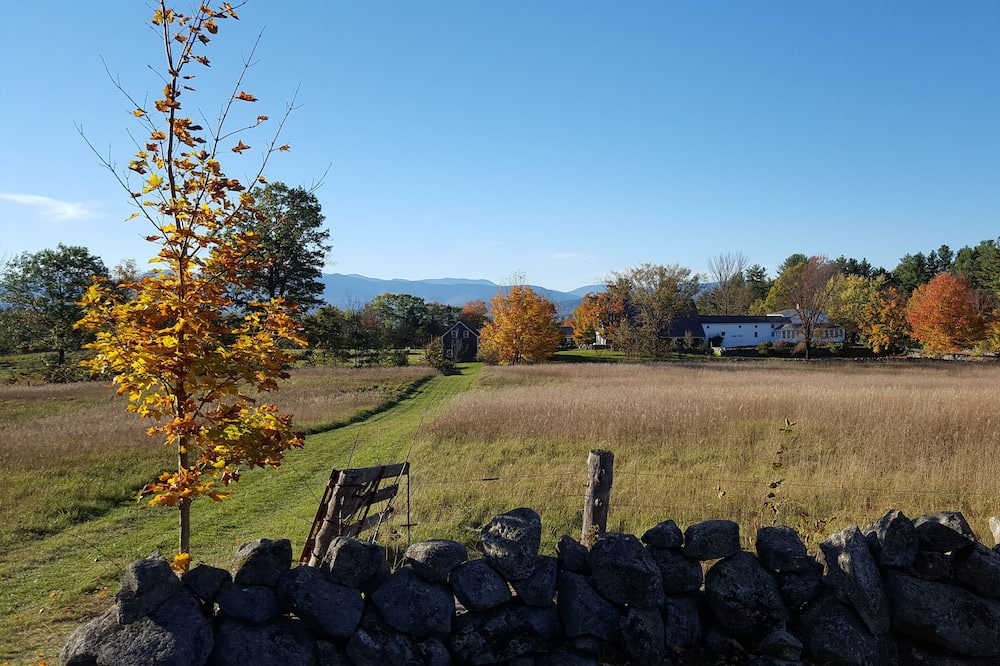 Photo of Outdoor in Center Lovell