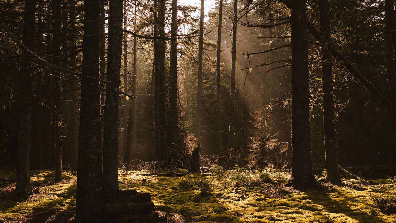 Photo of Outdoor in DownEast and Acadia Maine