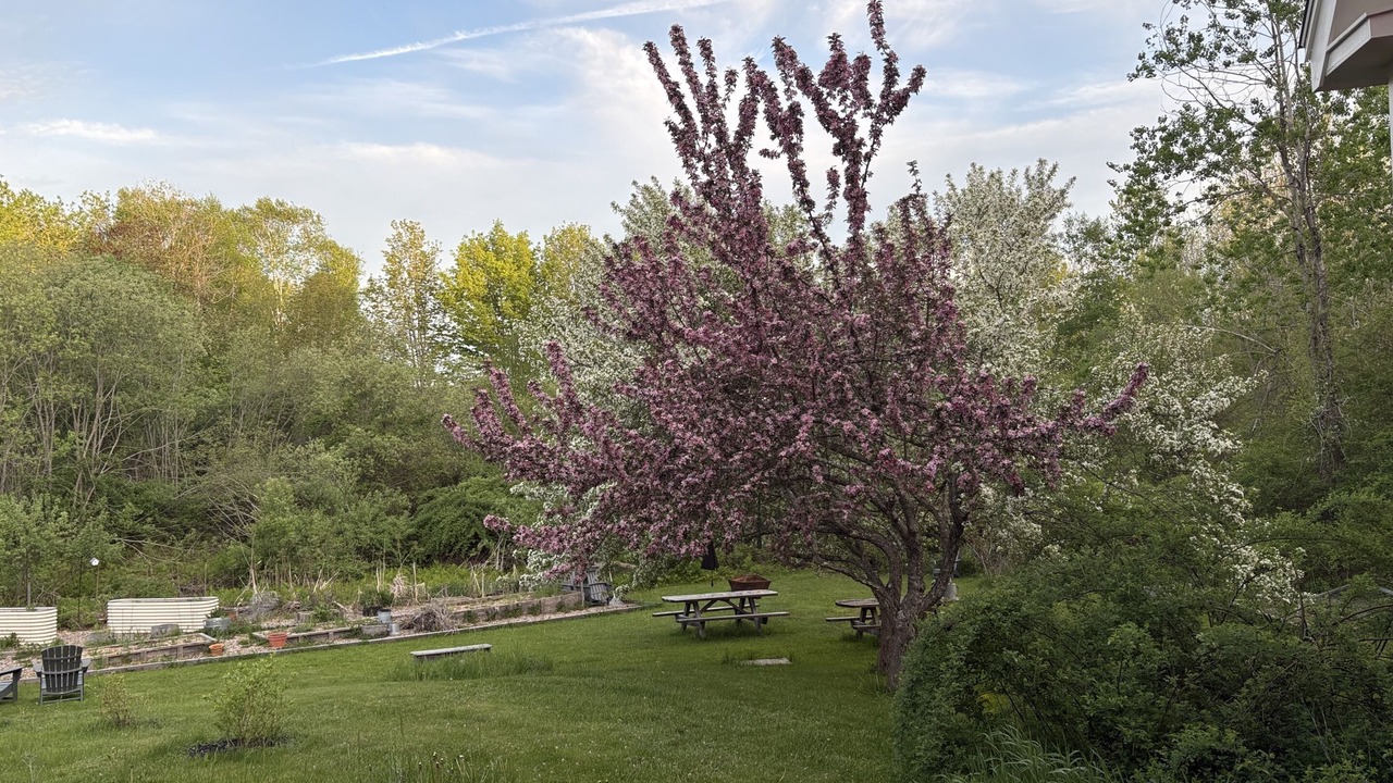 Photo of Outdoor in Walpole
