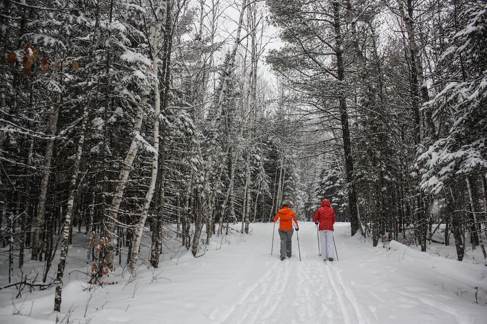 Photo of Others in The Forks