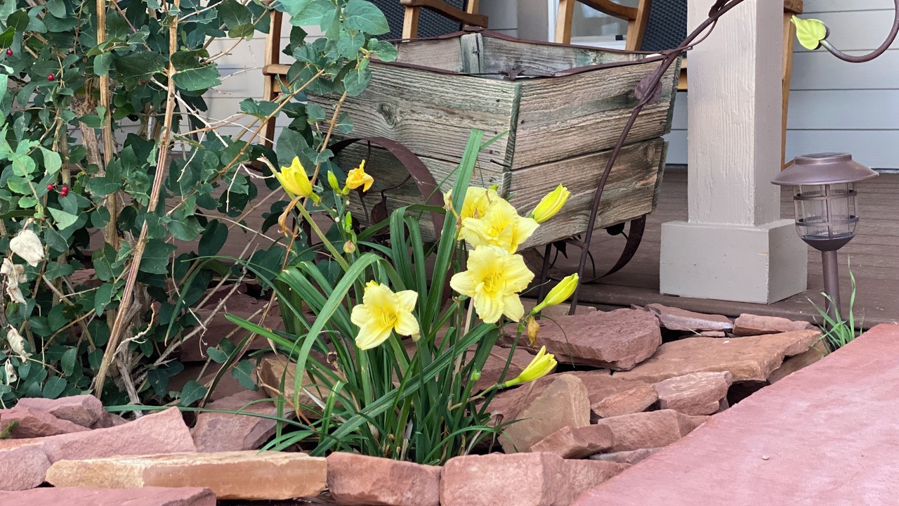 Photo of Outdoor in Torrey