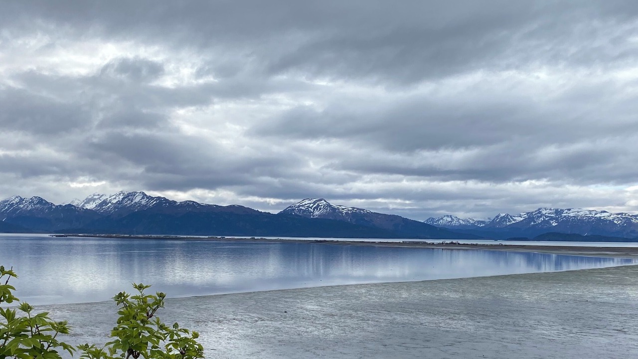 Photo of Others in Homer