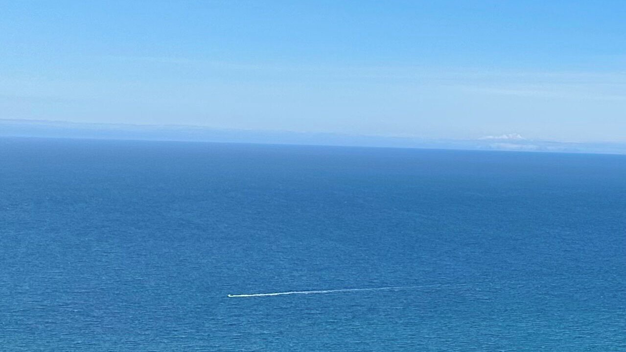 Photo of Others in Homer