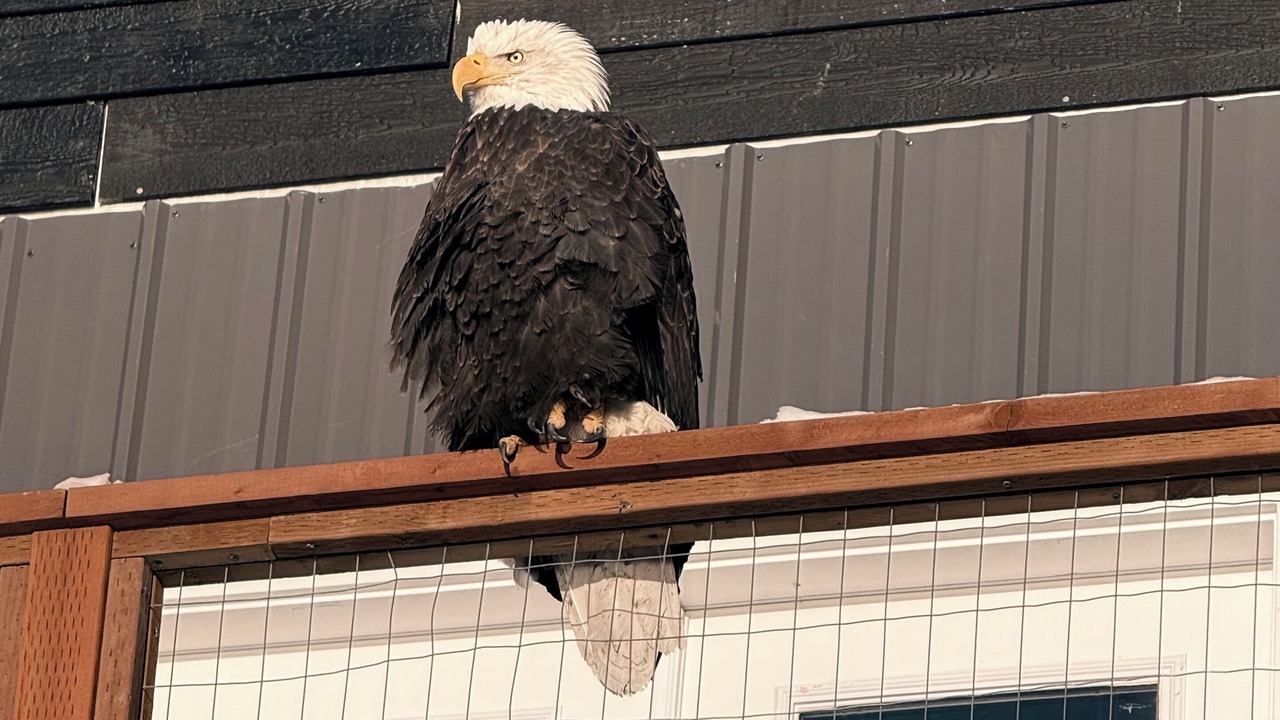 Photo of Outdoor in Homer