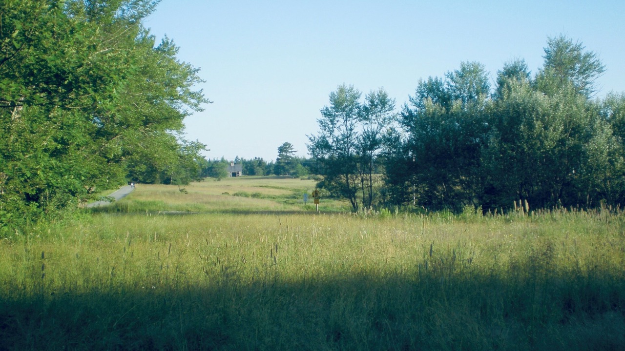 Photo of Others in Brooksville