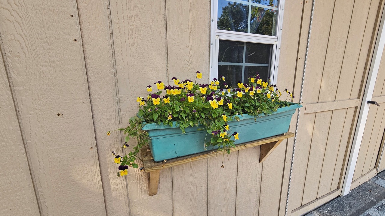 Photo of Outdoor in Manset