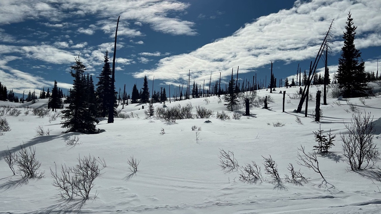 Photo of Others in Cohoe