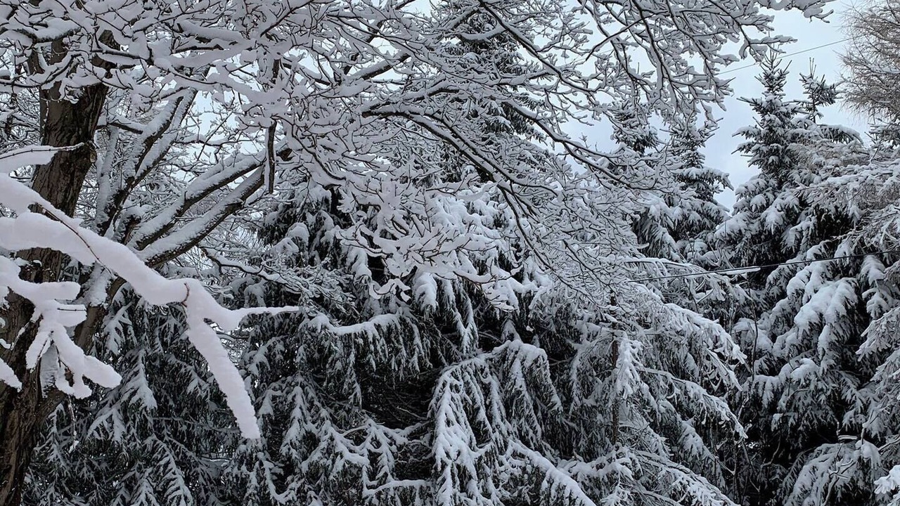 Photo of Outdoor in Ellicottville