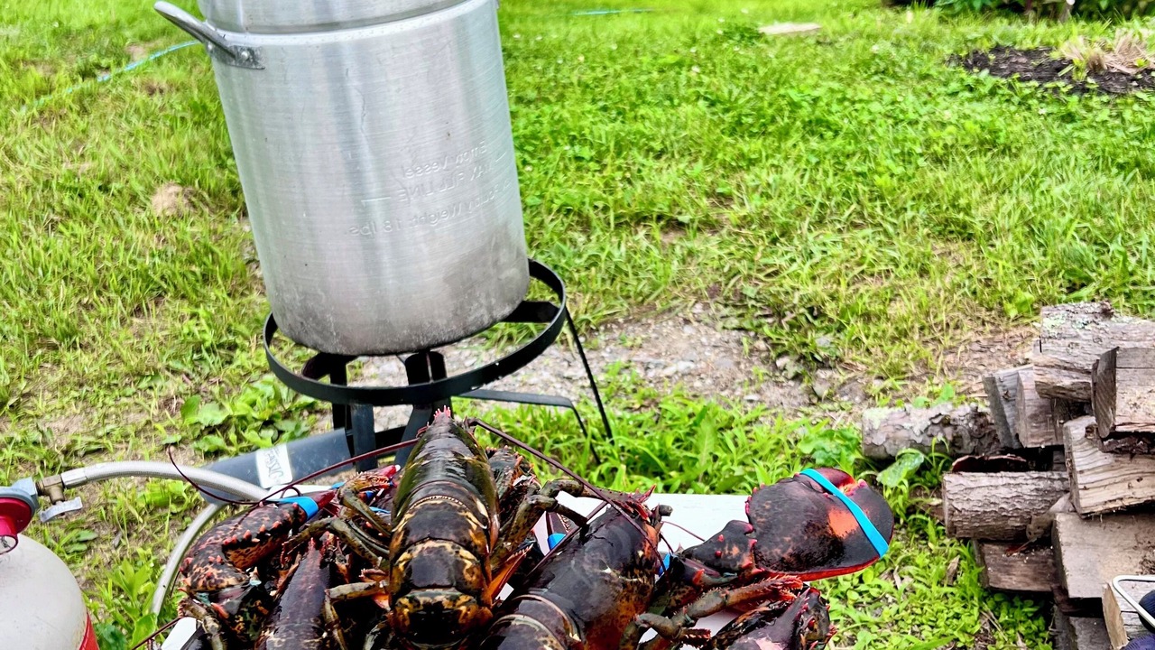 Photo of Outdoor in New Harbor