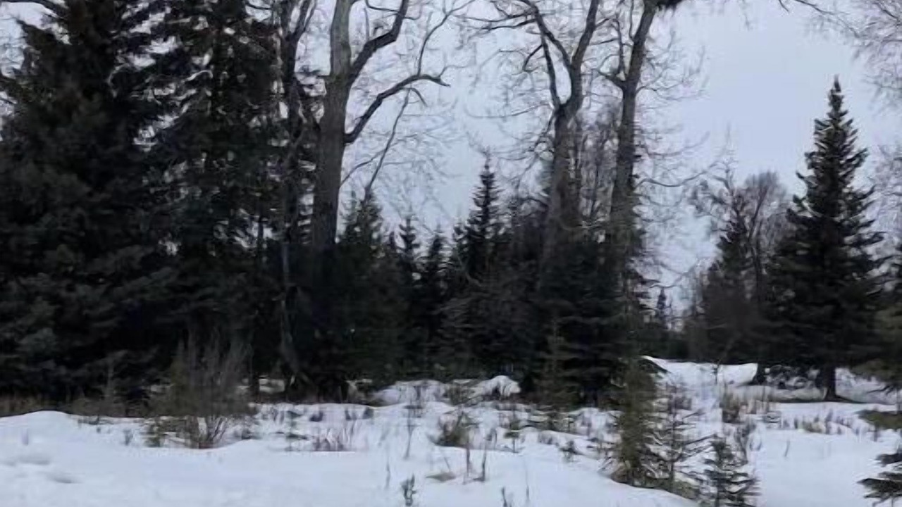 Photo of Others in Cohoe