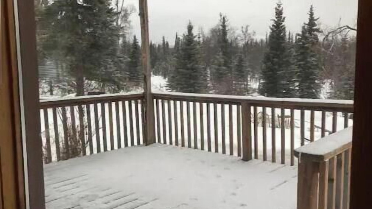 Photo of Outdoor in Cohoe