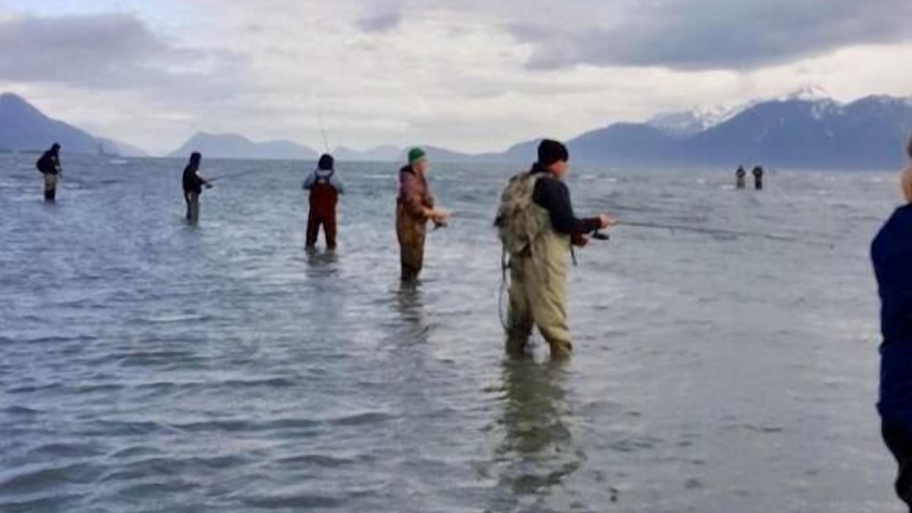 Photo of Others in Homer