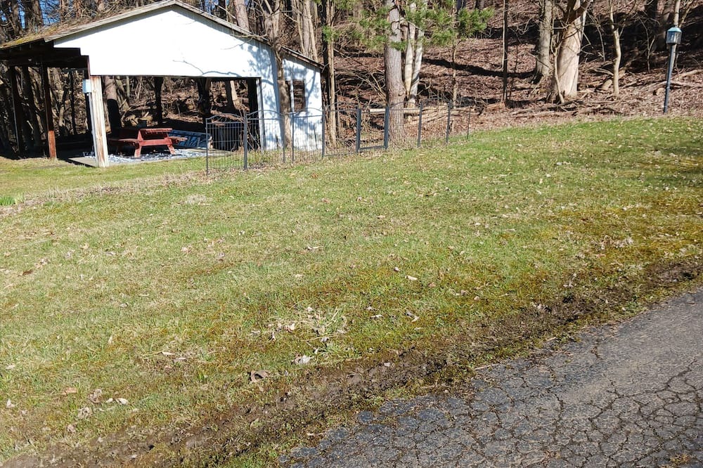 Photo of Others in Randolph