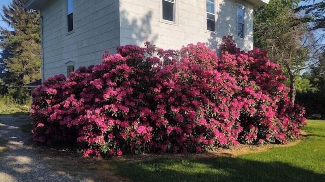 Photo of Outdoor in Andover