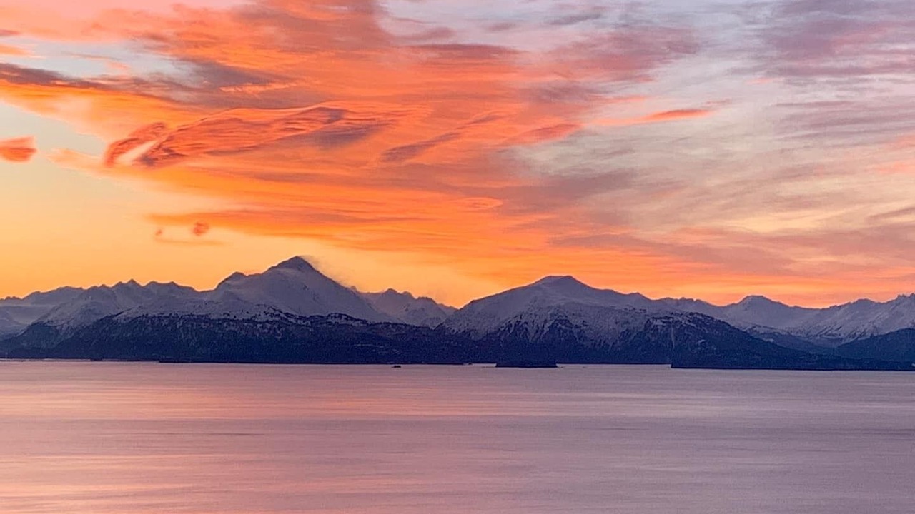 Photo of Others in Homer