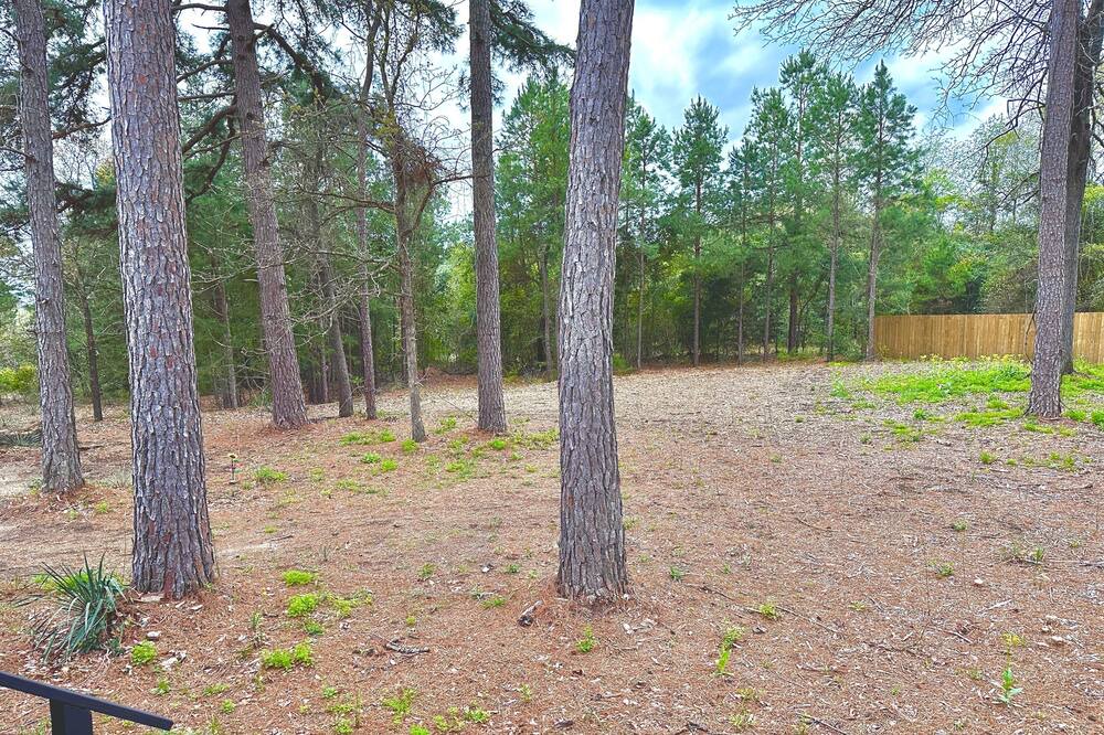 Photo of Outdoor in Lindale
