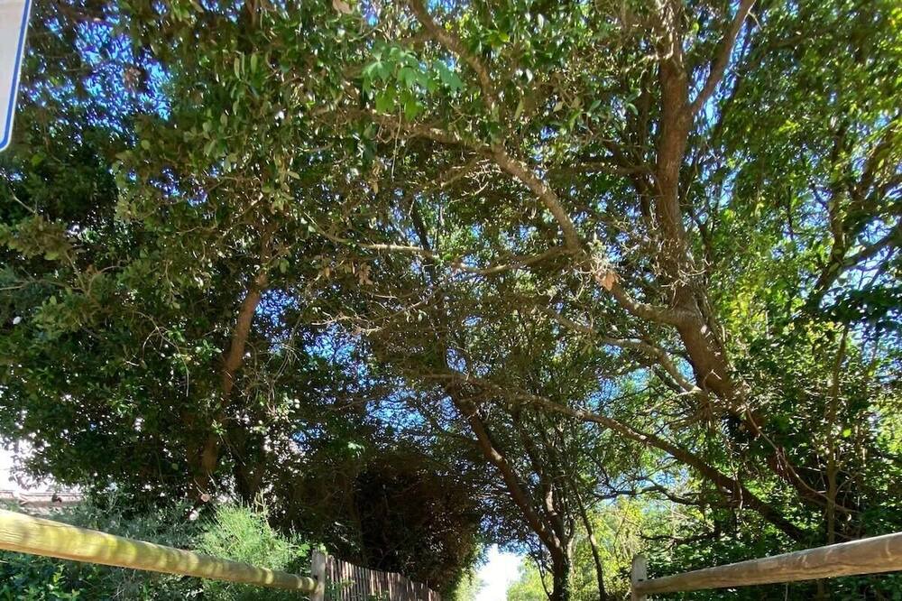 Photo of Outdoor in Northeast Virginia Beach