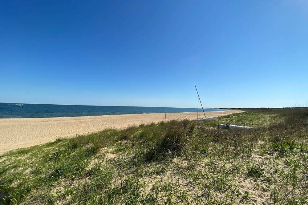 Photo of Others in Northeast Virginia Beach