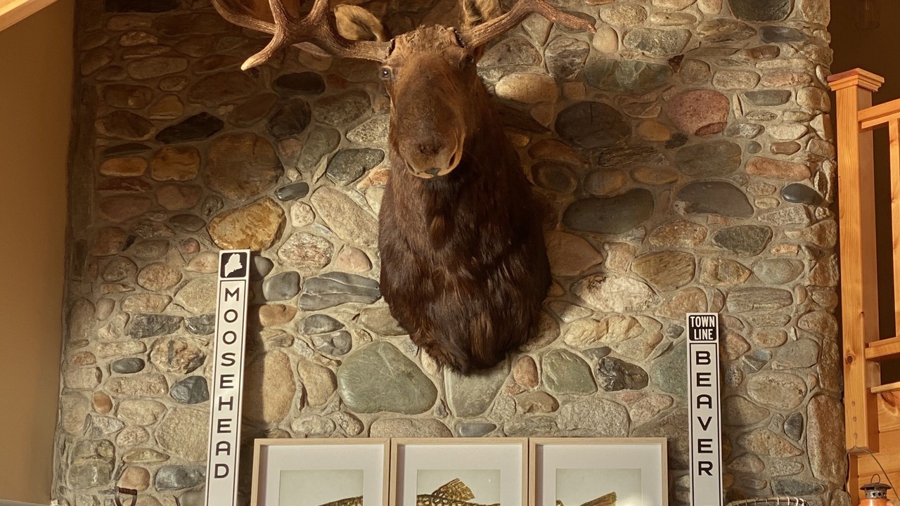 Photo of Others in Beaver Cove