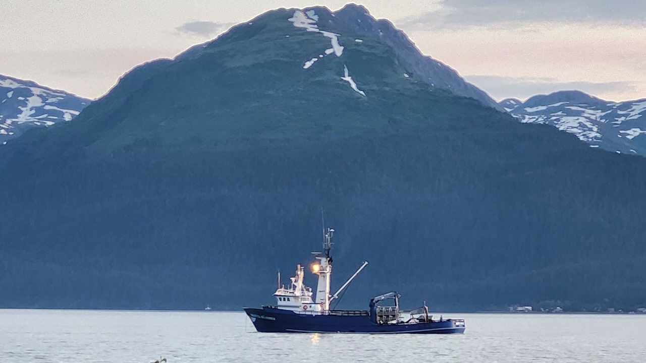 Photo of Others in Seward