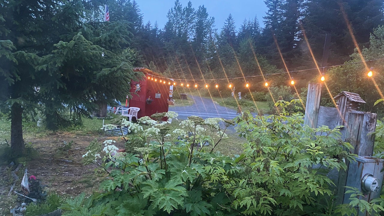 Photo of Outdoor in Seward