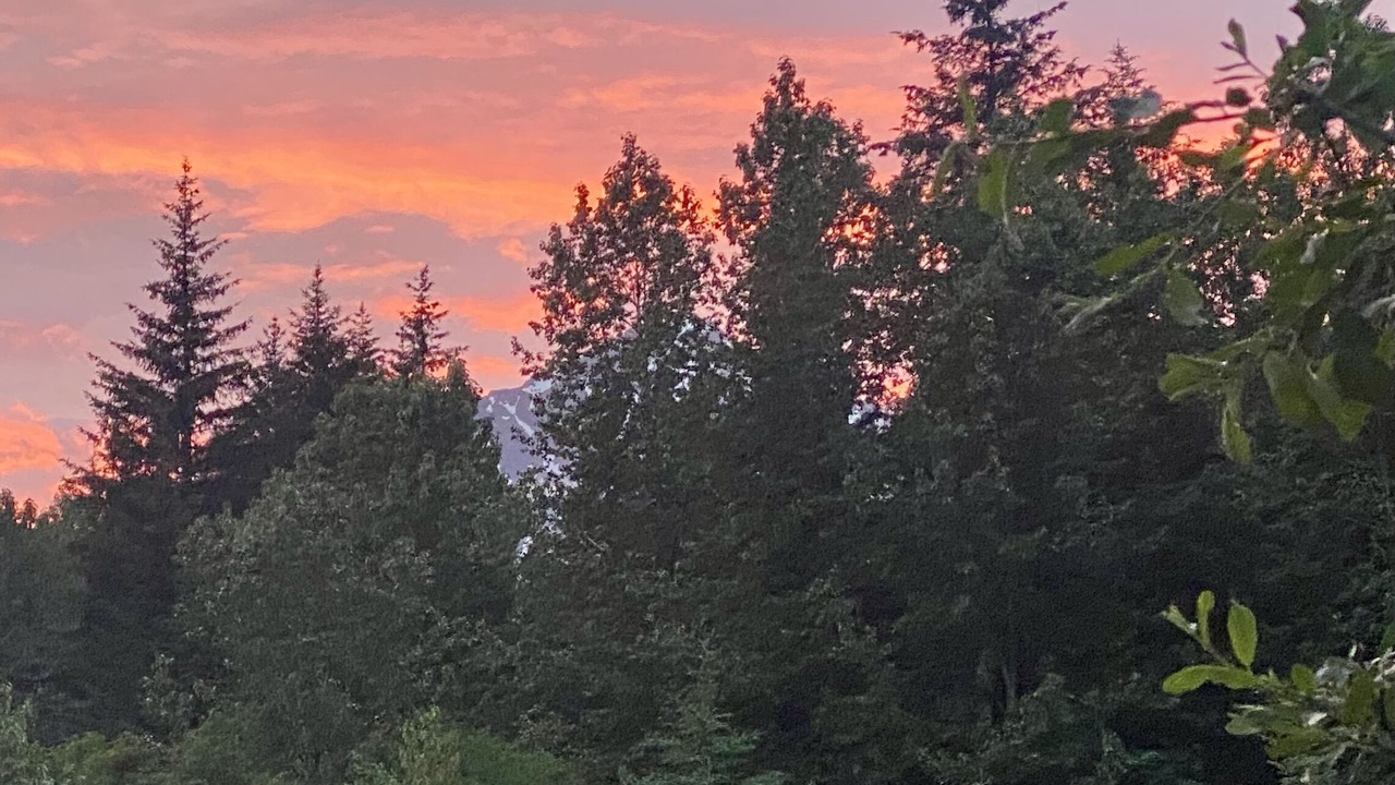 Photo of Outdoor in Seward