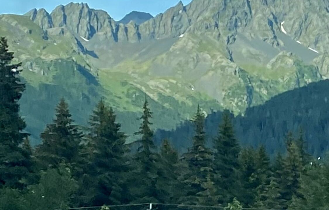 Photo of Others in Seward
