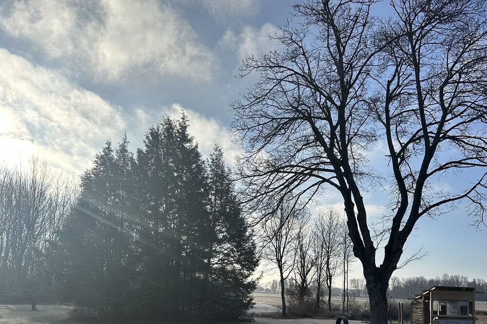 Photo of Others in Lake City