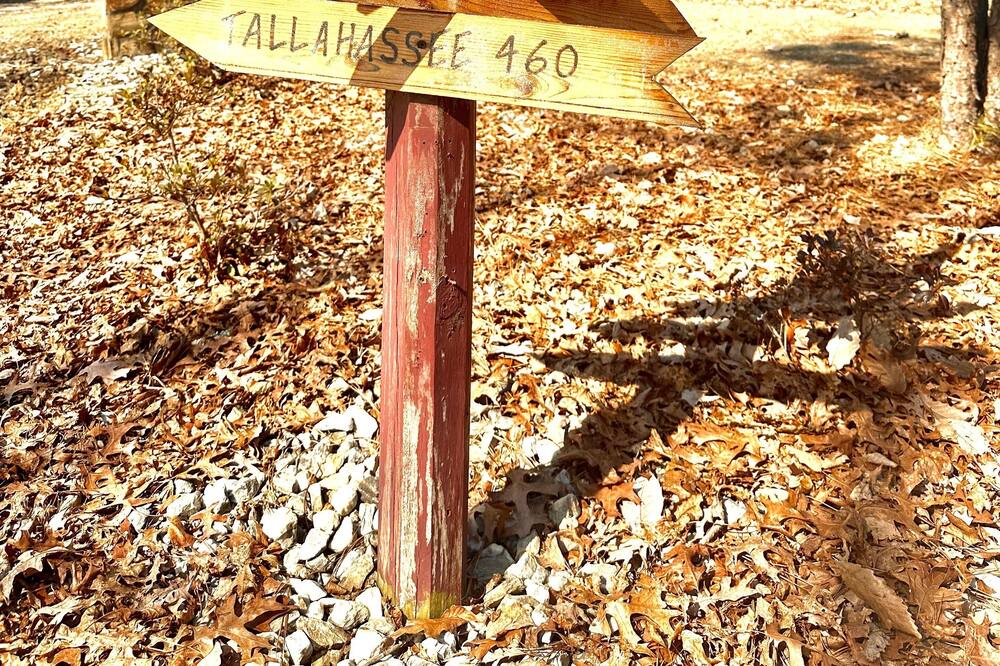 Photo of Outdoor in Andrews