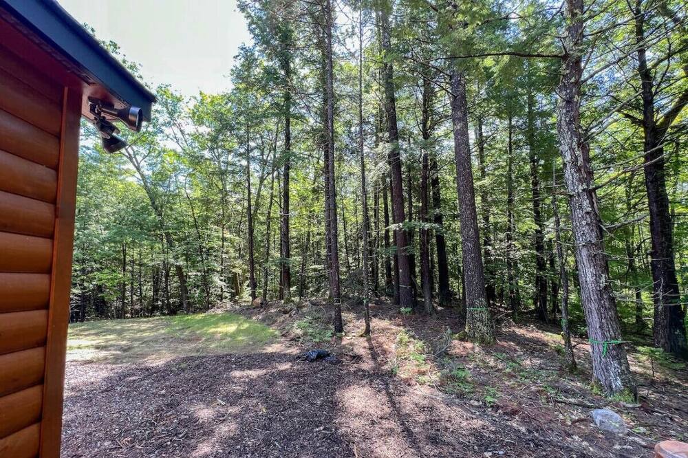 Photo of Outdoor in Center Conway