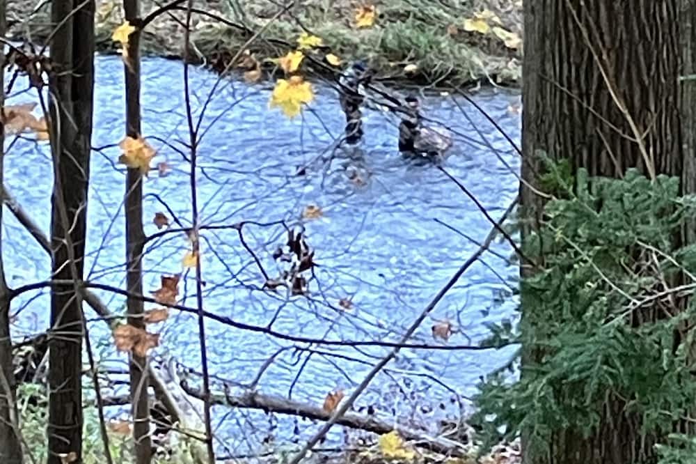 Photo of Others in Conneaut