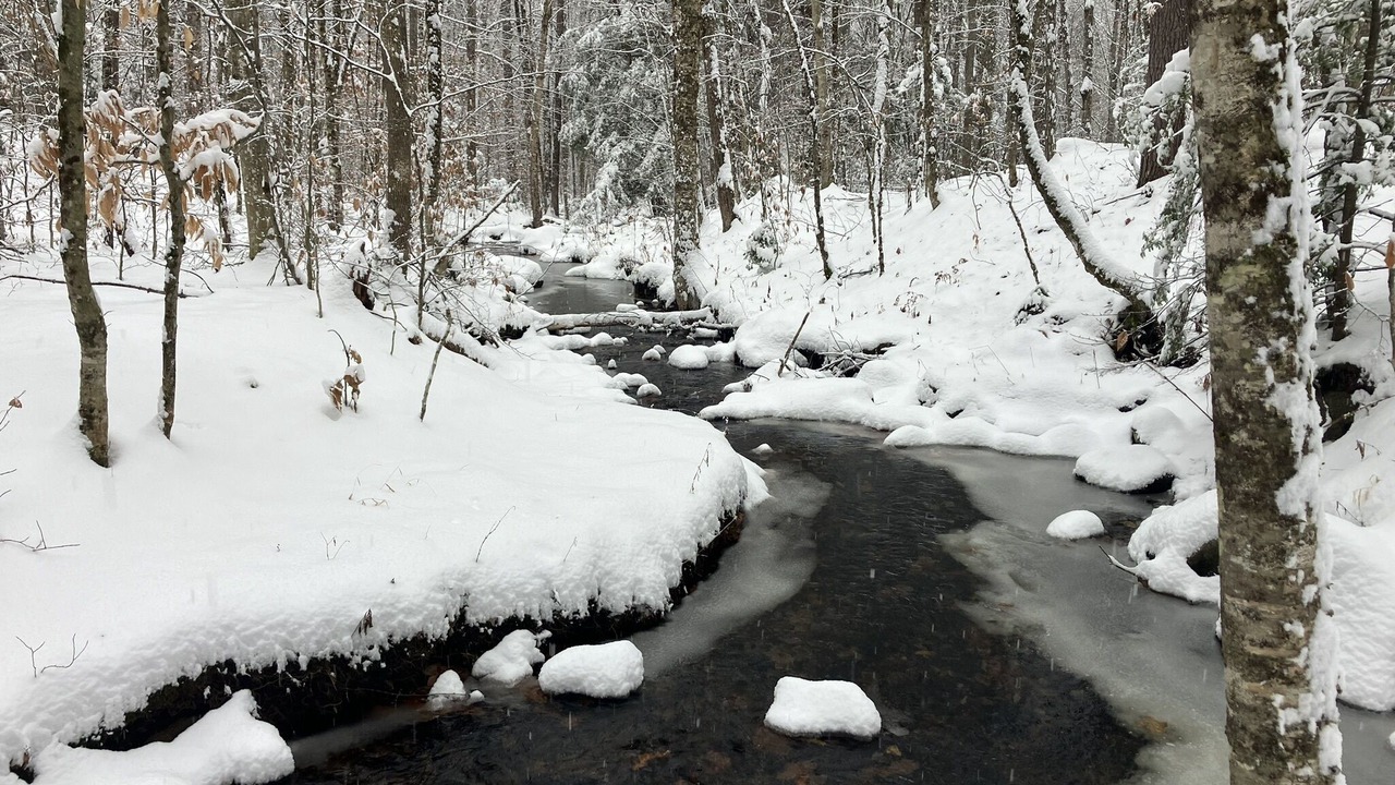 Photo of Outdoor in Lovell