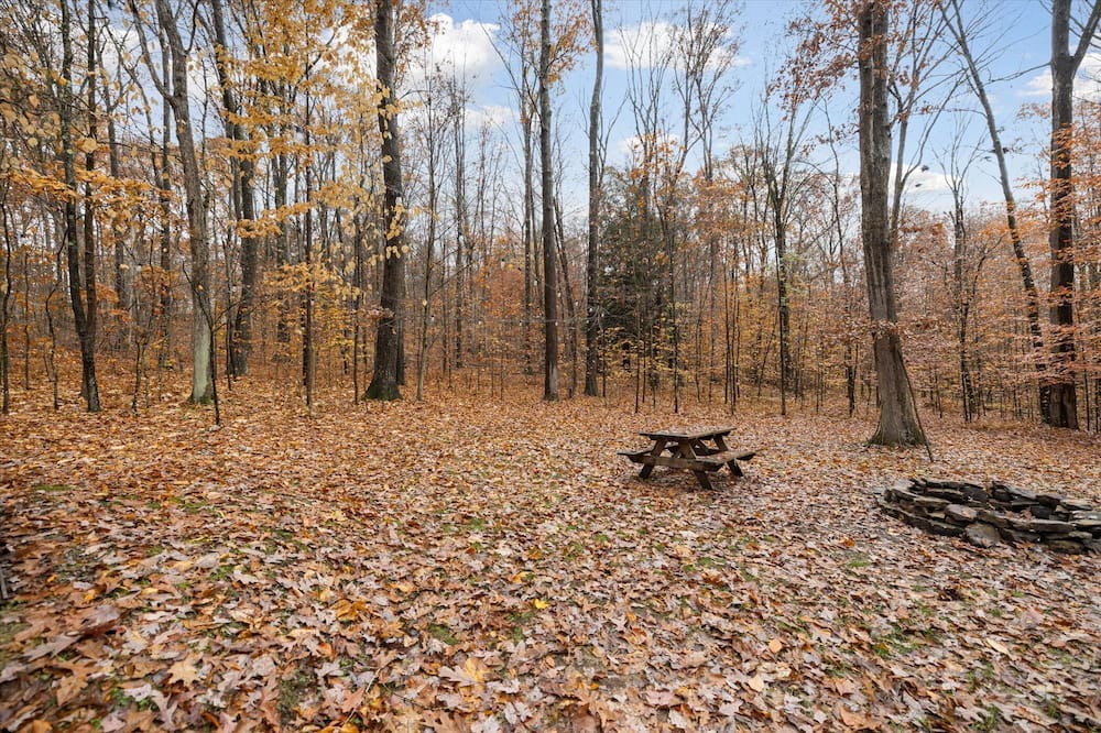Photo of Outdoor in Tylersburg