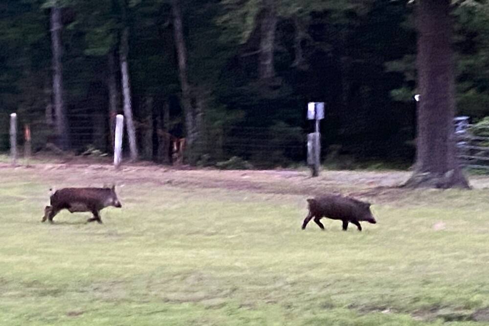 Photo of Others in Linden