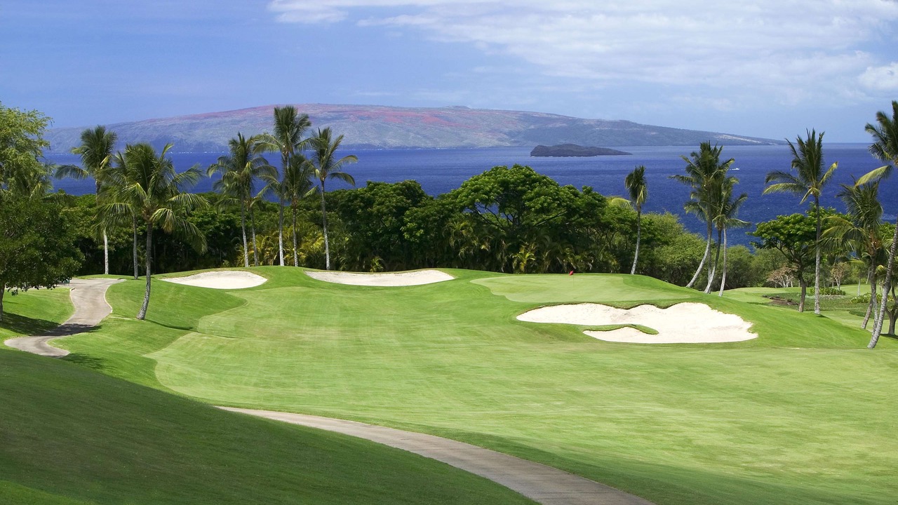 Photo of Others in Wailea