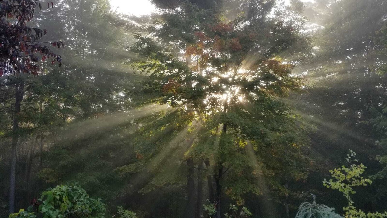 Photo of Outdoor in Chestertown
