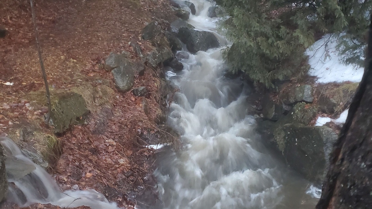 Photo of Outdoor in Chestertown