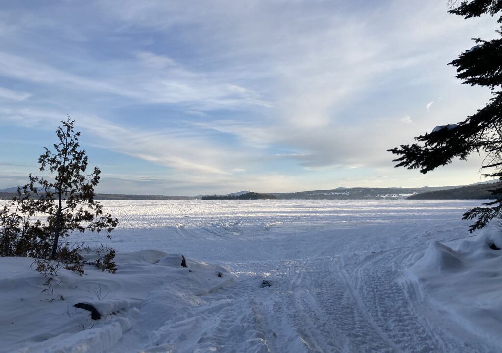 Photo of Others in Rangeley Plantation