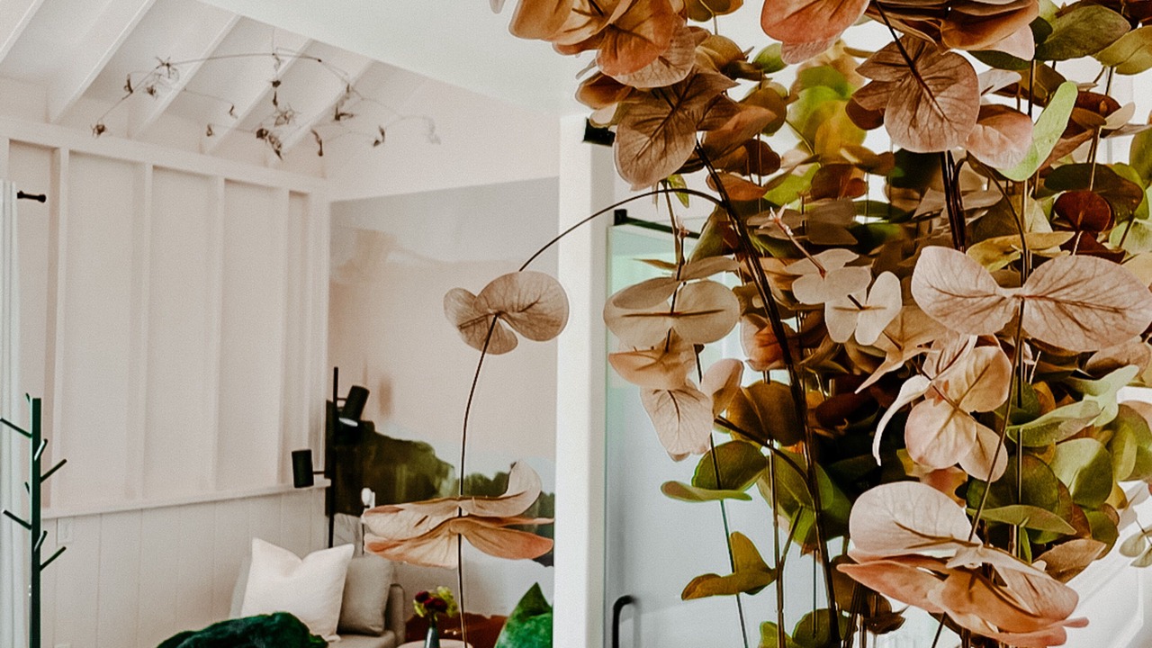 Photo of Others in Santa Clara