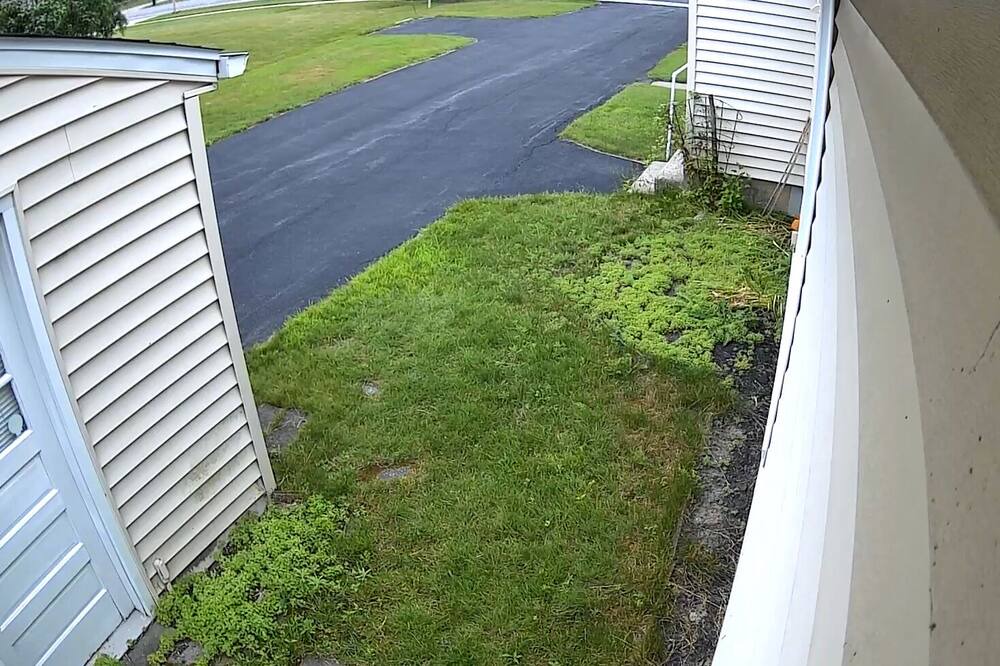 Photo of Others in Williamsville
