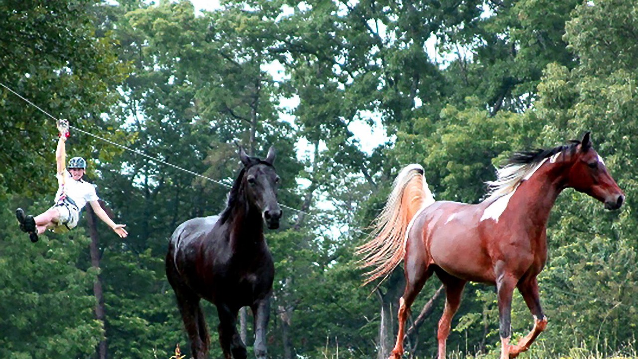 Photo of Outdoor in Clarkesville