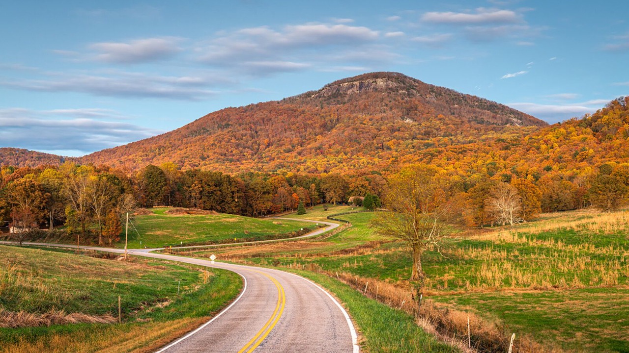 Photo of Outdoor in Clarkesville