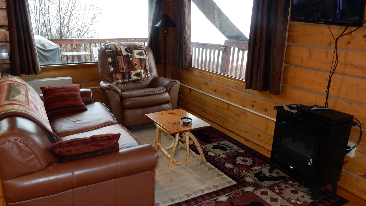 Photo of Livingroom in Homer