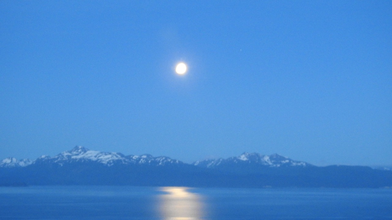Photo of Others in Homer