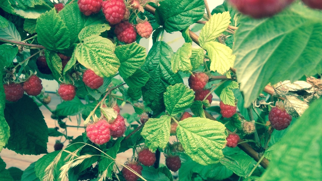 Photo of Outdoor in Homer