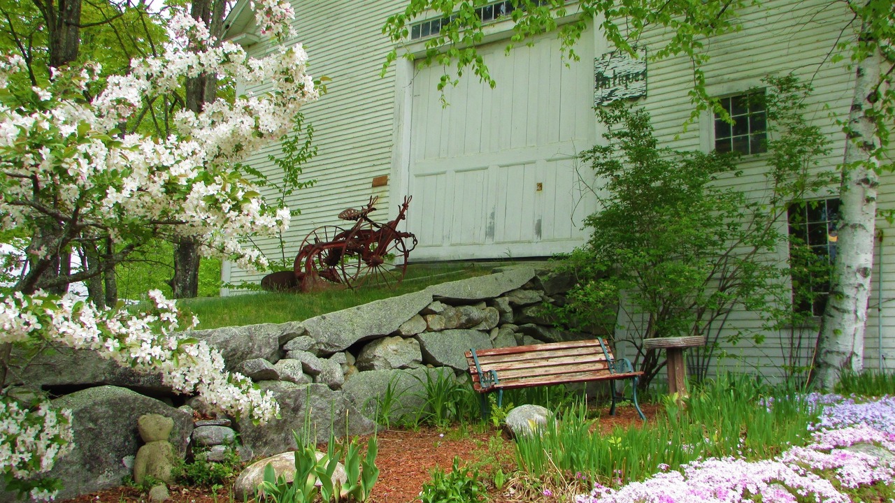 Photo of Outdoor in Center Lovell