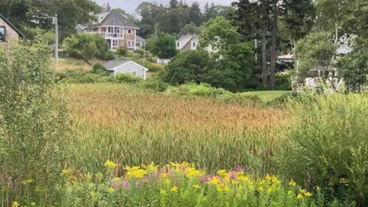 Photo of Outdoor in Peaks Island